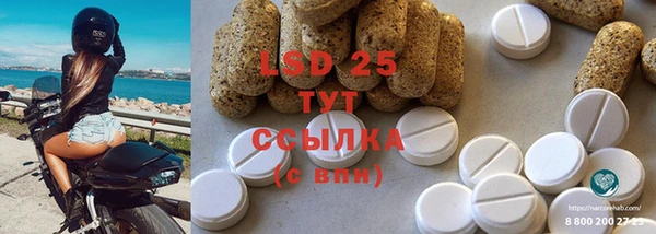 индика Инта